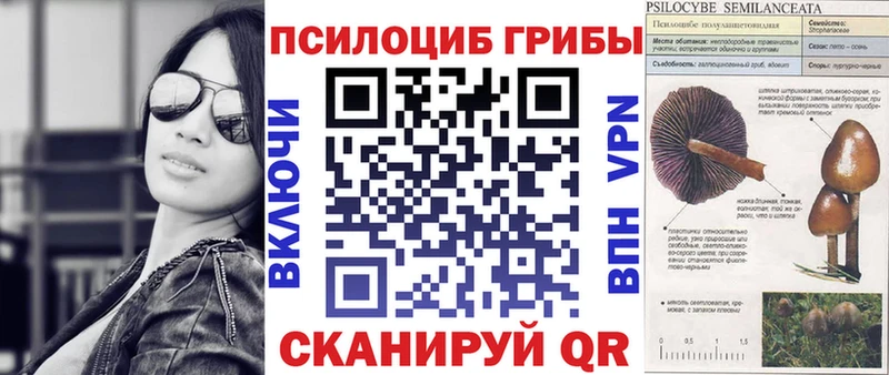 Галлюциногенные грибы Psilocybine cubensis  KRAKEN   Сольцы 